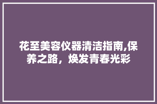 花至美容仪器清洁指南,保养之路，焕发青春光彩