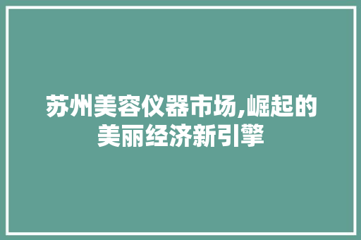 苏州美容仪器市场,崛起的美丽经济新引擎