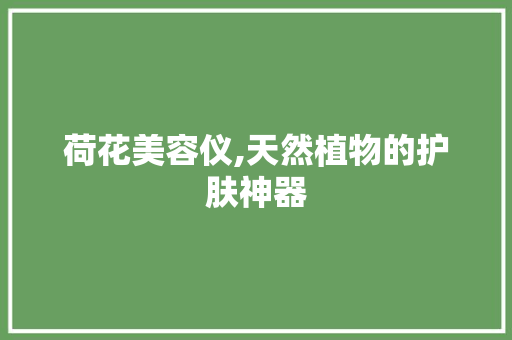 荷花美容仪,天然植物的护肤神器 母婴育儿