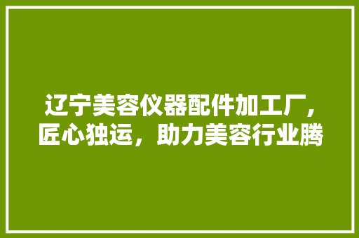 辽宁美容仪器配件加工厂,匠心独运，助力美容行业腾飞
