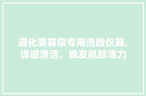 遵化美容院专用洗脸仪器,详细清洁，焕发肌肤活力