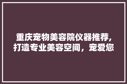 重庆宠物美容院仪器推荐,打造专业美容空间，宠爱您的毛孩