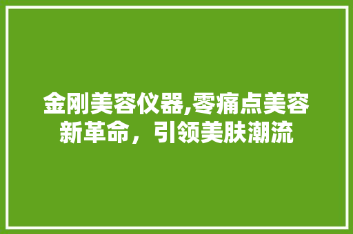 金刚美容仪器,零痛点美容新革命，引领美肤潮流