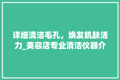 详细清洁毛孔，焕发肌肤活力_美容店专业清洁仪器介绍