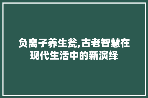 负离子养生瓮,古老智慧在现代生活中的新演绎 母婴育儿