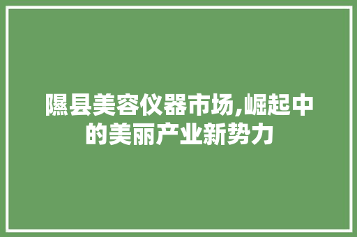 隰县美容仪器市场,崛起中的美丽产业新势力
