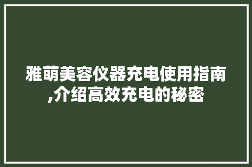雅萌美容仪器充电使用指南,介绍高效充电的秘密 饮食大全
