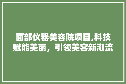 面部仪器美容院项目,科技赋能美丽，引领美容新潮流