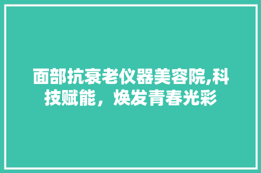 面部抗衰老仪器美容院,科技赋能，焕发青春光彩