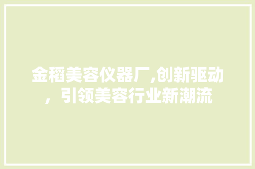 金稻美容仪器厂,创新驱动，引领美容行业新潮流 饮食大全