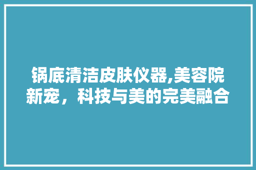 锅底清洁皮肤仪器,美容院新宠，科技与美的完美融合 母婴育儿