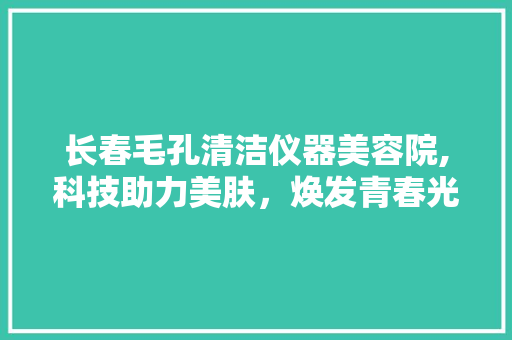 长春毛孔清洁仪器美容院,科技助力美肤，焕发青春光彩 美体修身