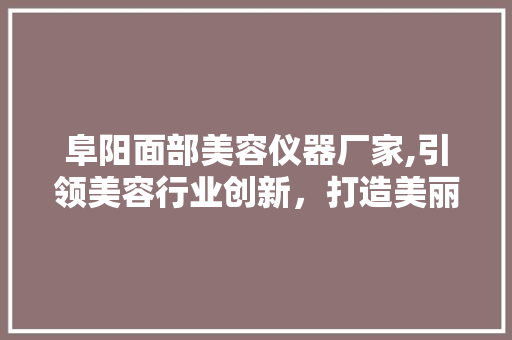 阜阳面部美容仪器厂家,引领美容行业创新，打造美丽新未来