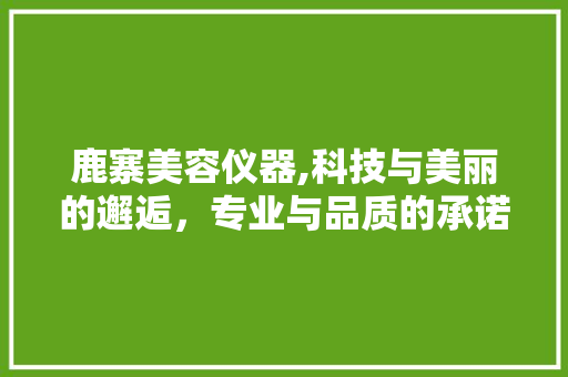 鹿寨美容仪器,科技与美丽的邂逅，专业与品质的承诺