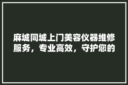 麻城同城上门美容仪器维修服务，专业高效，守护您的美丽生活 饮食大全