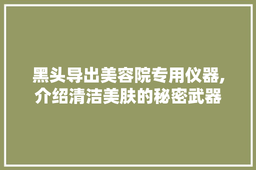 黑头导出美容院专用仪器,介绍清洁美肤的秘密武器