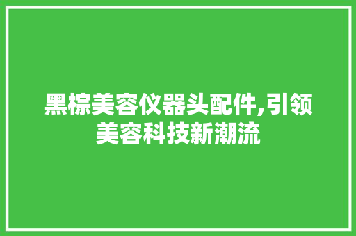 黑棕美容仪器头配件,引领美容科技新潮流