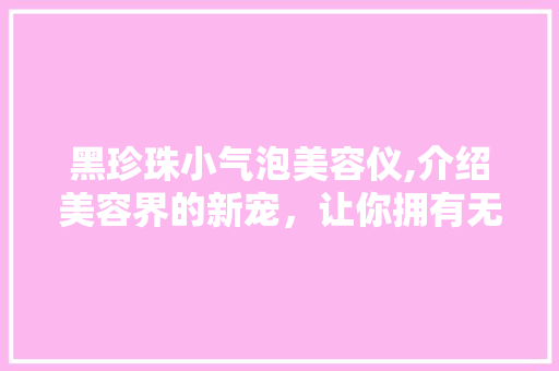 黑珍珠小气泡美容仪,介绍美容界的新宠，让你拥有无暇肌肤！