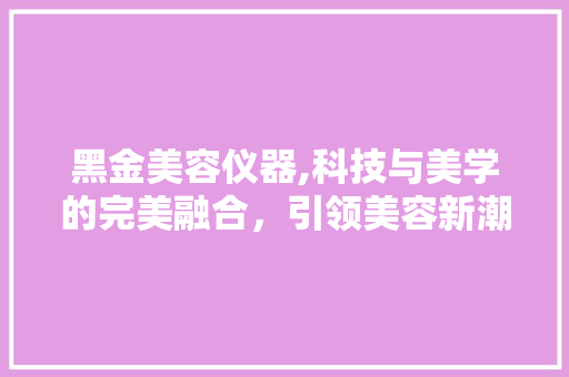 黑金美容仪器,科技与美学的完美融合，引领美容新潮流