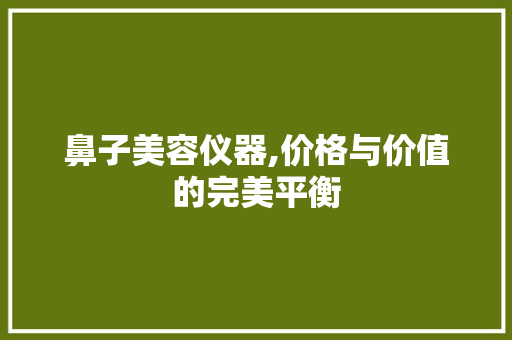 鼻子美容仪器,价格与价值的完美平衡 饮食大全