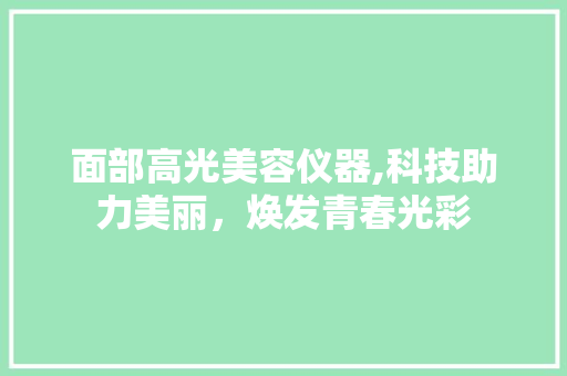 面部高光美容仪器,科技助力美丽，焕发青春光彩 综合便民