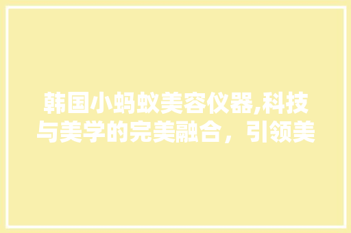 韩国小蚂蚁美容仪器,科技与美学的完美融合，引领美容新潮流