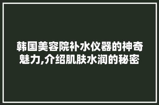 韩国美容院补水仪器的神奇魅力,介绍肌肤水润的秘密武器