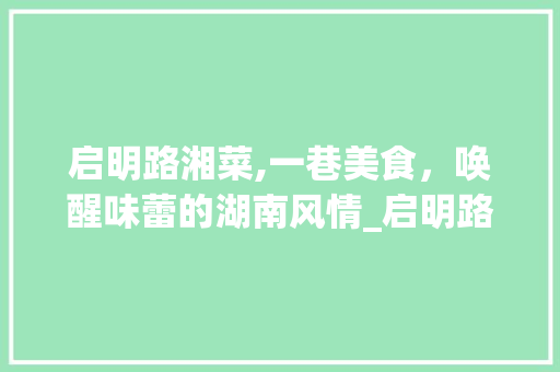 启明路湘菜,一巷美食,唤醒味蕾的湖南风情_启明路湘菜 饮食大全 启明路湘菜,一巷美食,唤醒味蕾的湖南风情_启明路湘菜 饮食大全