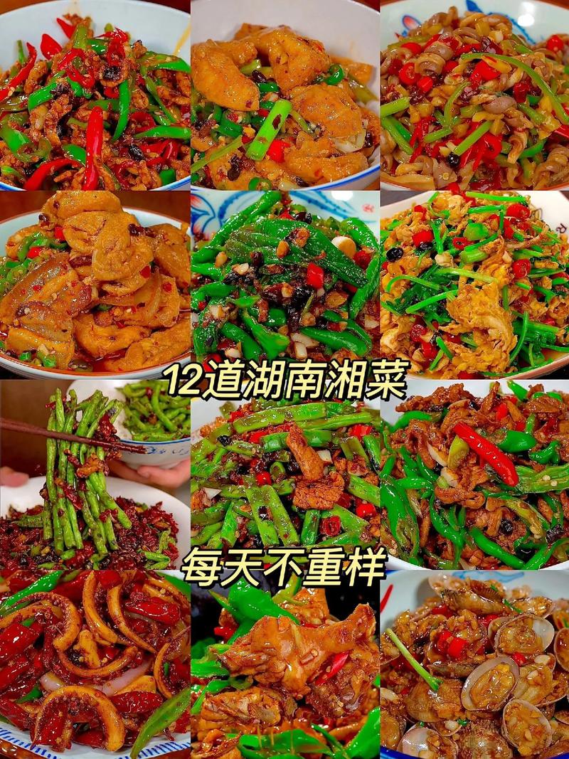 内蒙古湘菜飘香,美食之旅从这里启航_内蒙古哪里有学湘菜 饮食大全 内蒙古湘菜飘香,美食之旅从这里启航_内蒙古哪里有学湘菜 内蒙古湘菜飘香,美食之旅从这里启航_内蒙古哪里有学湘菜 饮食大全