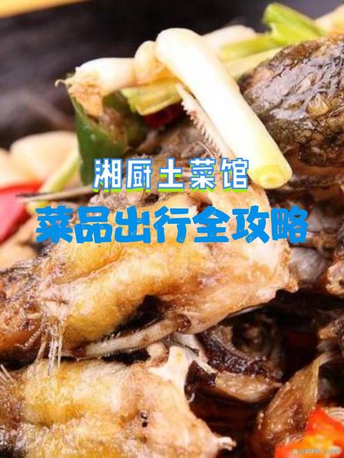 山东湘菜加盟连锁,热线电话助您开启美食事业新篇章_山东湘菜加盟连锁热线电话 饮食大全 山东湘菜加盟连锁,热线电话助您开启美食事业新篇章_山东湘菜加盟连锁热线电话 山东湘菜加盟连锁,热线电话助您开启美食事业新篇章_山东湘菜加盟连锁热线电话 饮食大全