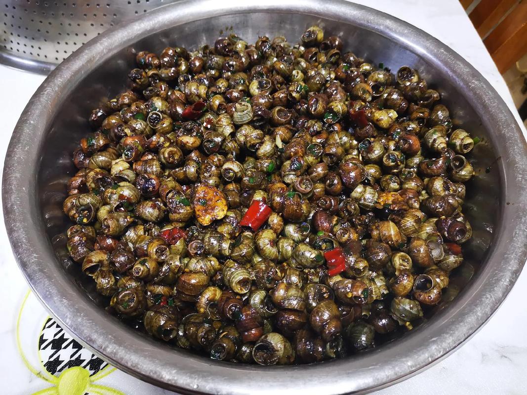 湘味浓香_螺蛳炒棒骨的独特风味与制作方法_湘菜螺蛳炒棒骨的做法 饮食大全 湘味浓香_螺蛳炒棒骨的独特风味与制作方法_湘菜螺蛳炒棒骨的做法 湘味浓香_螺蛳炒棒骨的独特风味与制作方法_湘菜螺蛳炒棒骨的做法 饮食大全