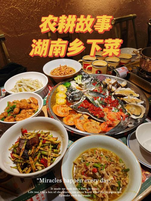 湘菜之美,从湘菜视频看传统美食的魅力_湘菜视频观后感怎么写 饮食大全 湘菜之美,从湘菜视频看传统美食的魅力_湘菜视频观后感怎么写 湘菜之美,从湘菜视频看传统美食的魅力_湘菜视频观后感怎么写 饮食大全